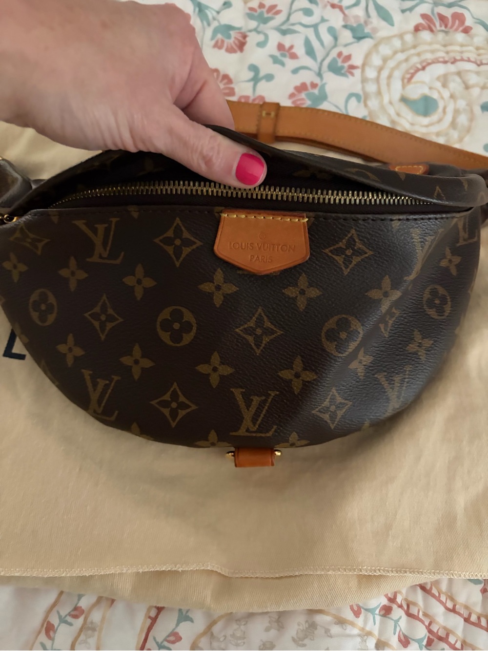 Louis Vuitton Bum Bag Monogram